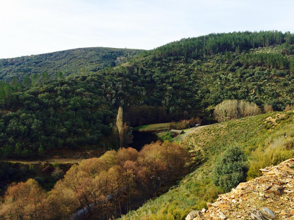 La Primavera Nuez Luaran gambar